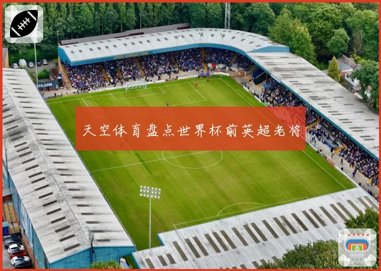 天空体育盘点世界杯前英超老将