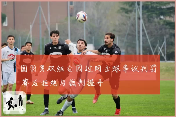 国羽男双组合因过网击球争议判罚 赛后拒绝与裁判握手